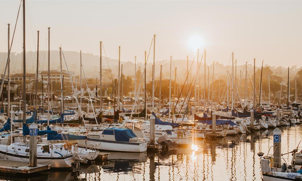 boats in the harbor at sunset