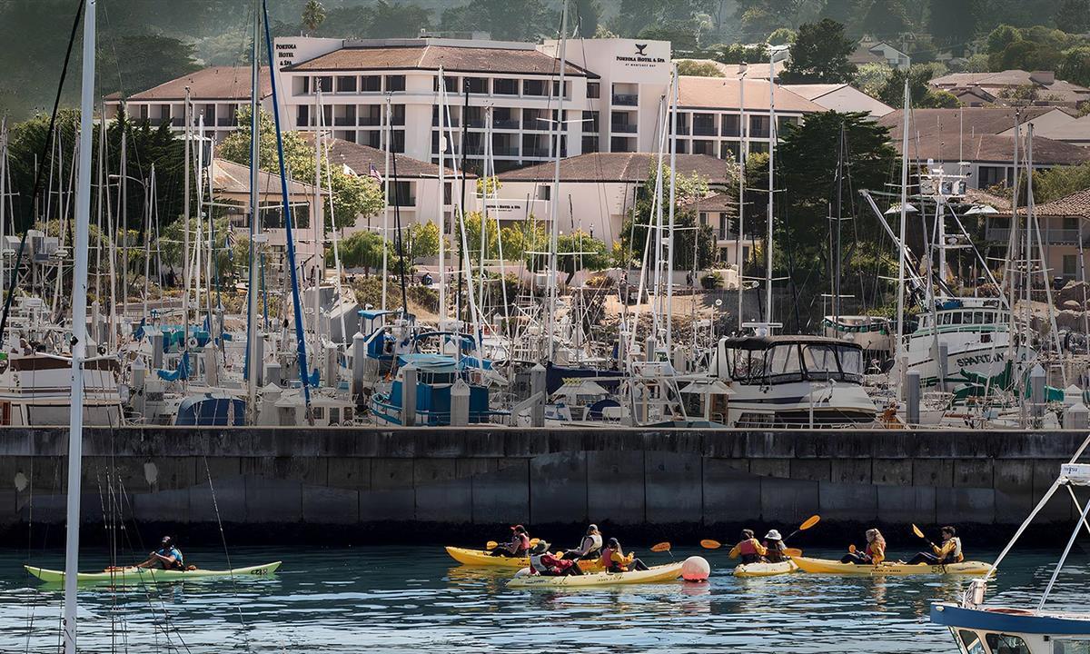 kayakers in the harbor near hotel