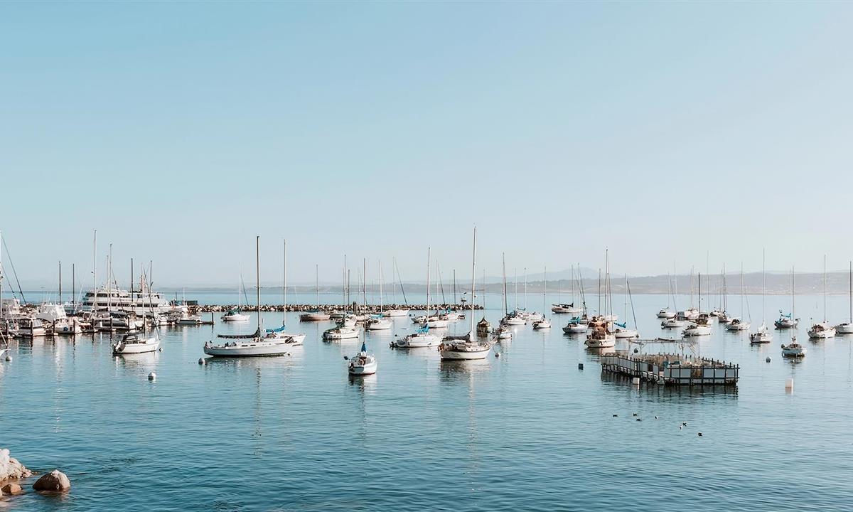Boats in the Harbor