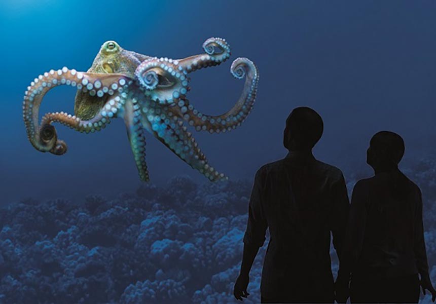 A couple at the aquarium.