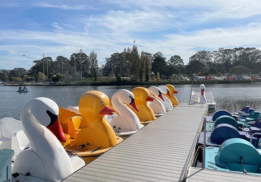 Peddle boats that look like birds.