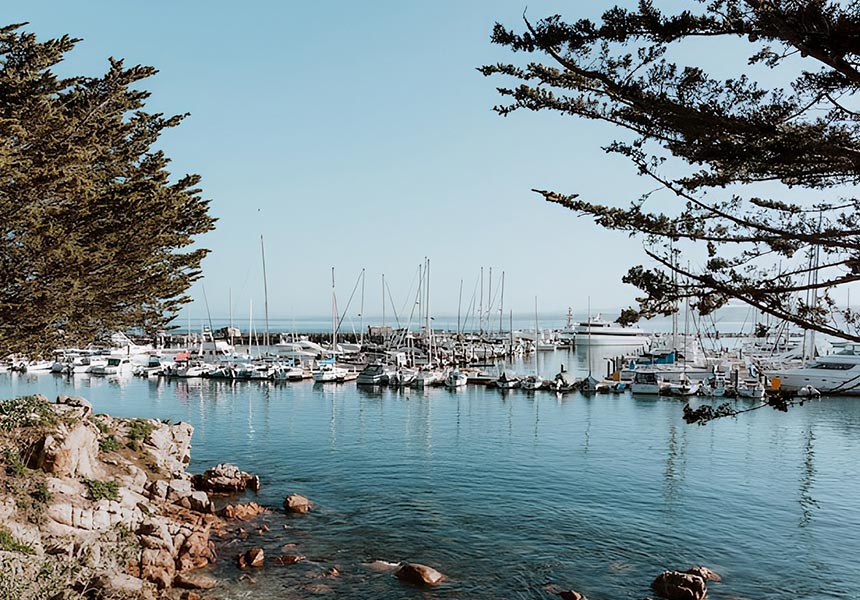 Harbor full of sail boats. 