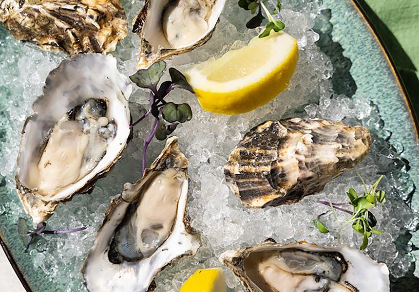 Oysters catering display.