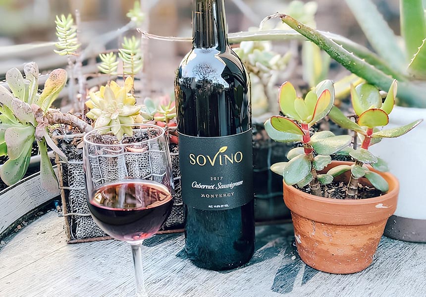 Wine tasting set up outdoors with plants.