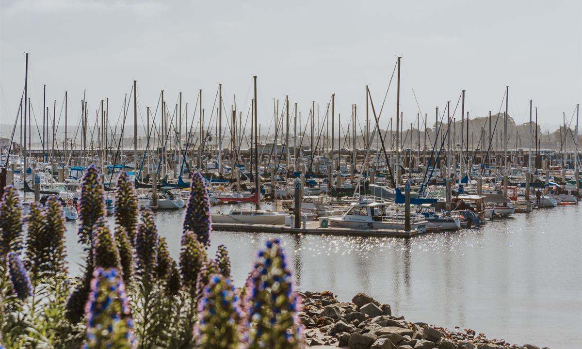 view of big sur and beaches surrounding