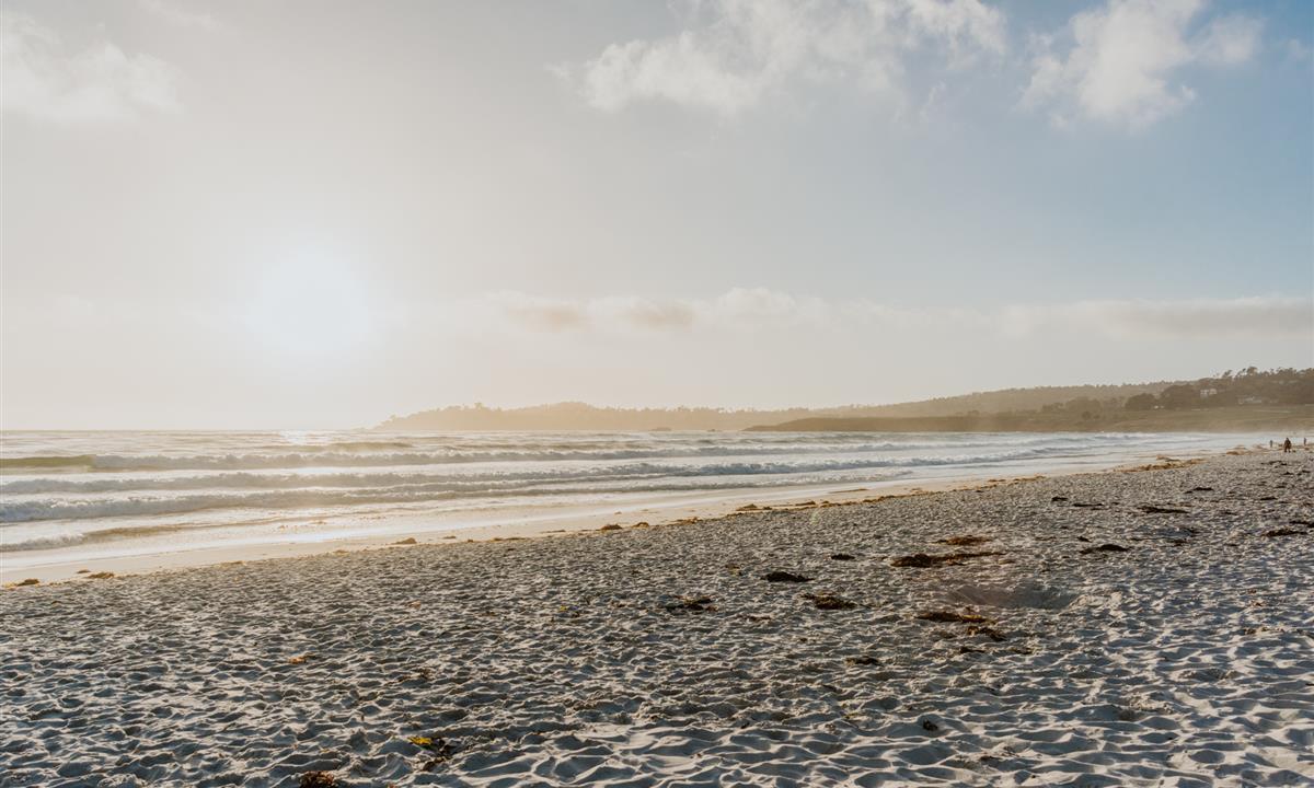 Romantic Views in Monterey