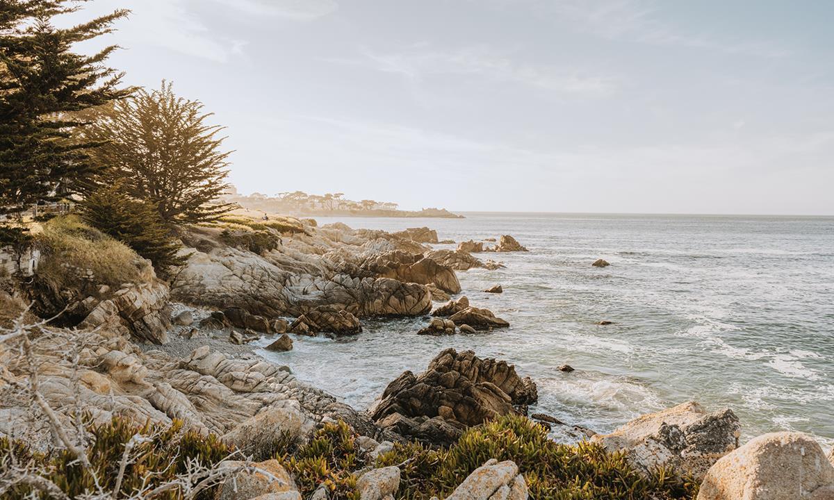 Rocky shore of Pacific Grove overlooking the waters of Monterey Bay