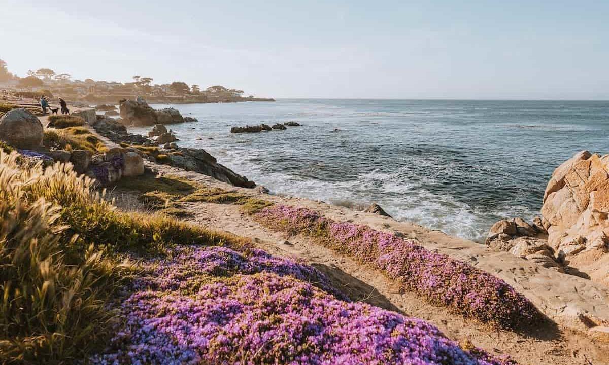 Coastal cliff with ocean views