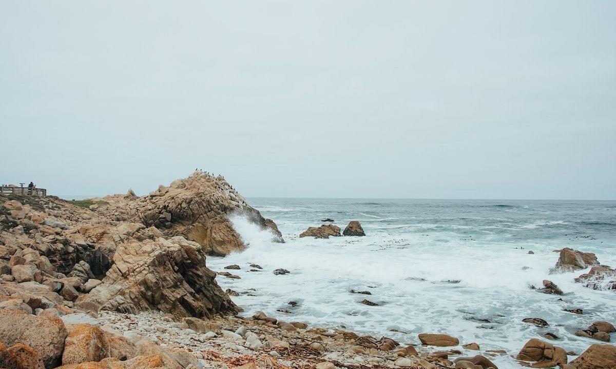 Rocky beach views