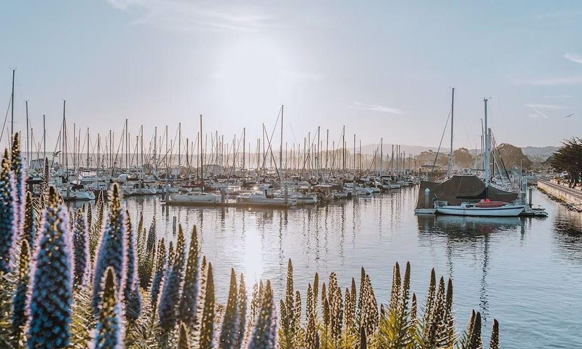 boats in the harbor