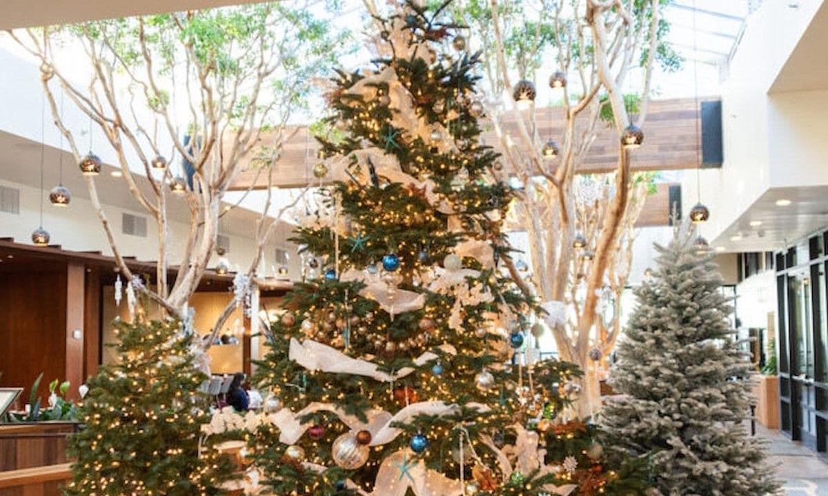 A set of Christmas trees 