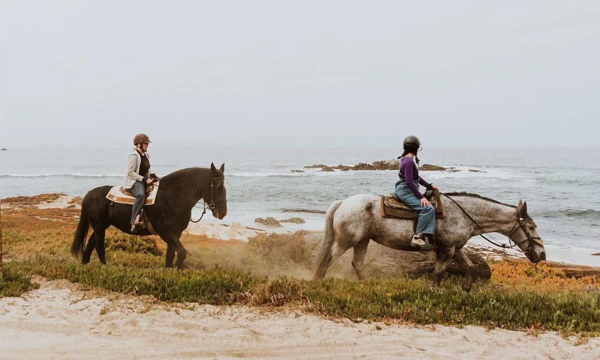 two women riding horses on the beach