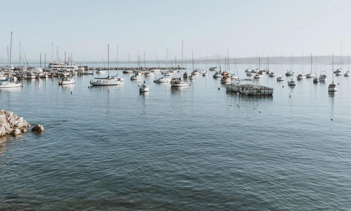 boats in the harbor