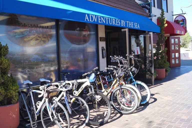 bikes lined up for rent