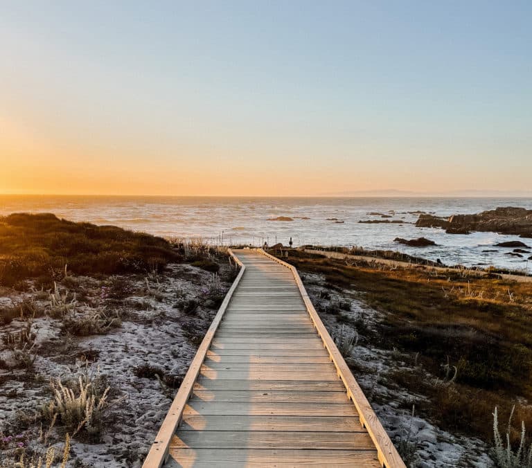 wooden pathway to beach