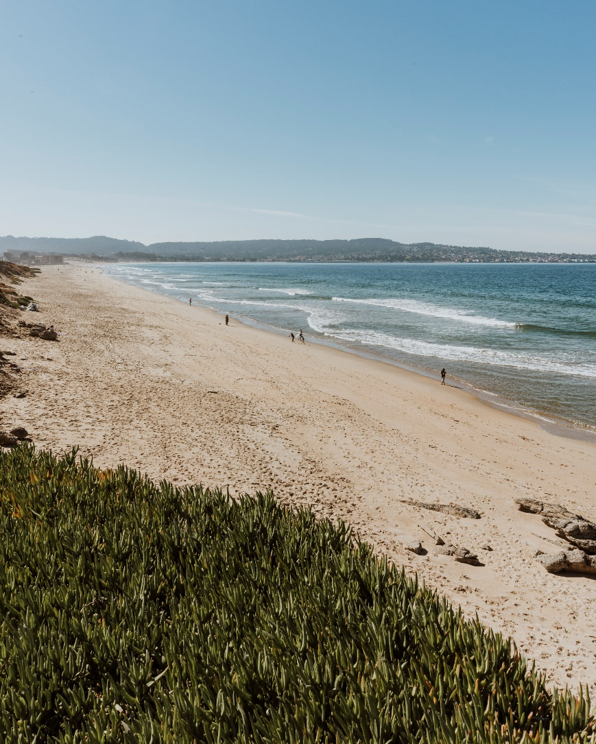 view of the beach