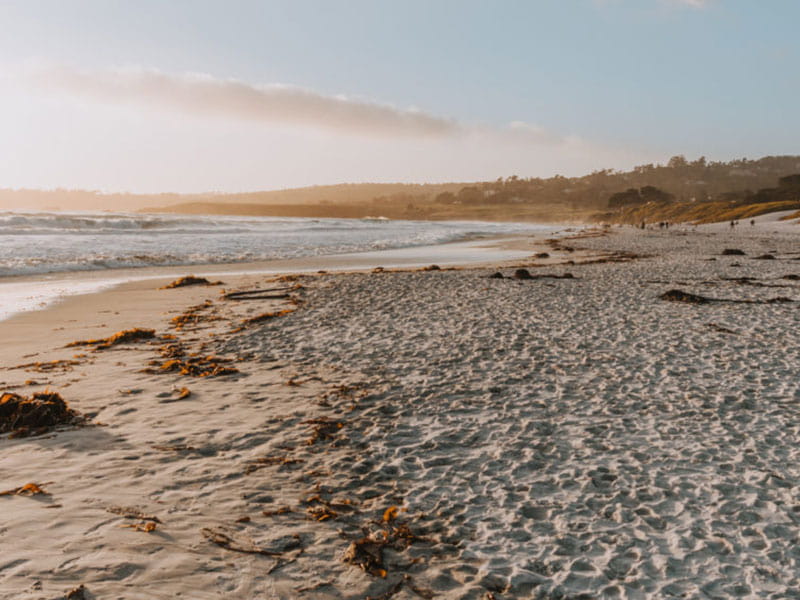view of Carmel Beach