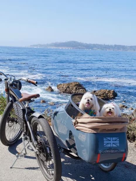 two small dogs in a side car of a motorcycle