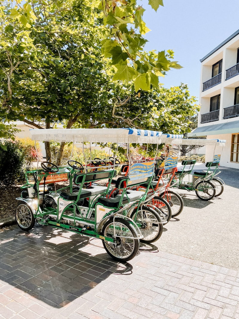bike trolley and bike for rent