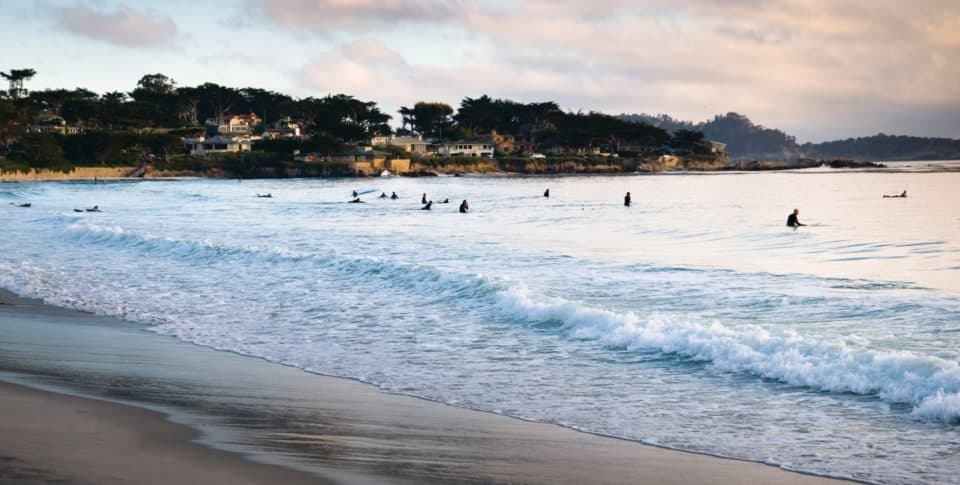 many surfers waiting for a wave