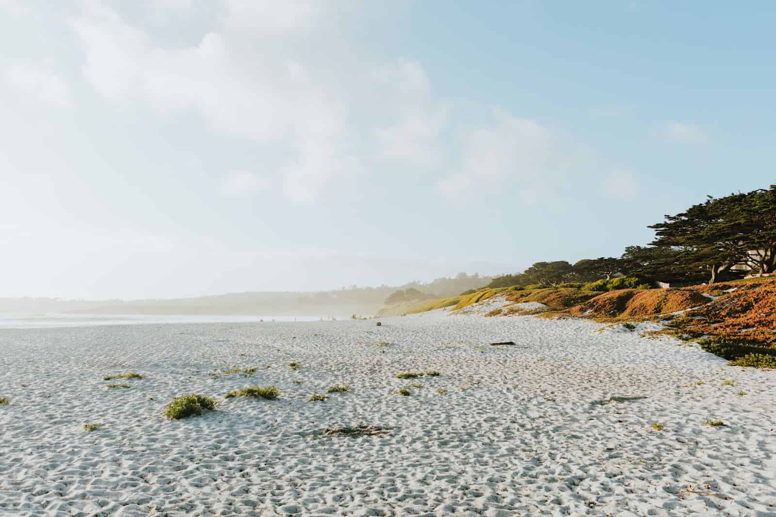 sandy beach in Carmel