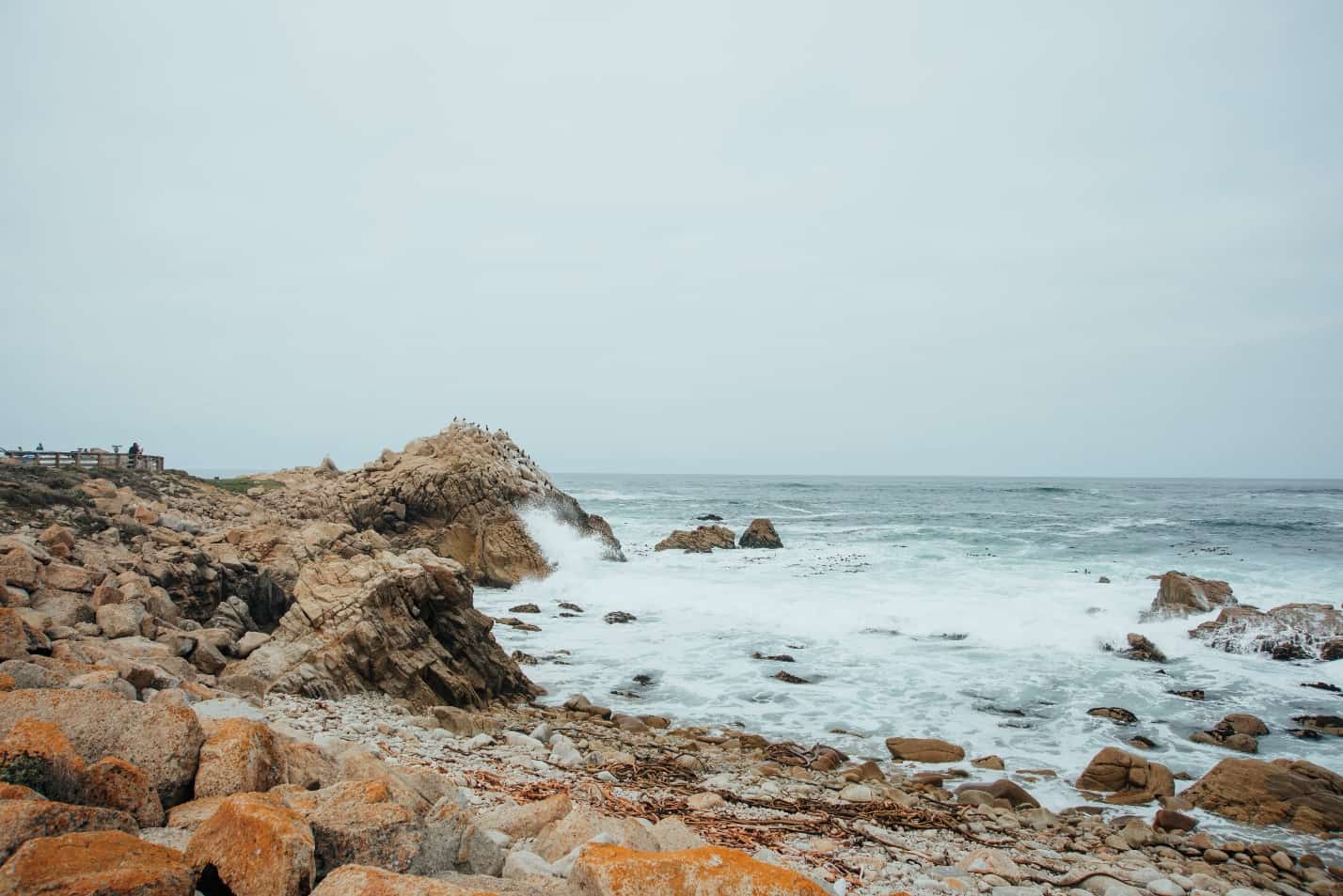 rocky beach and ocean view