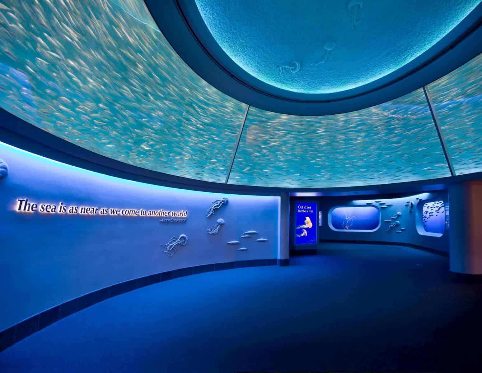 View inside Monterey Aquarium 