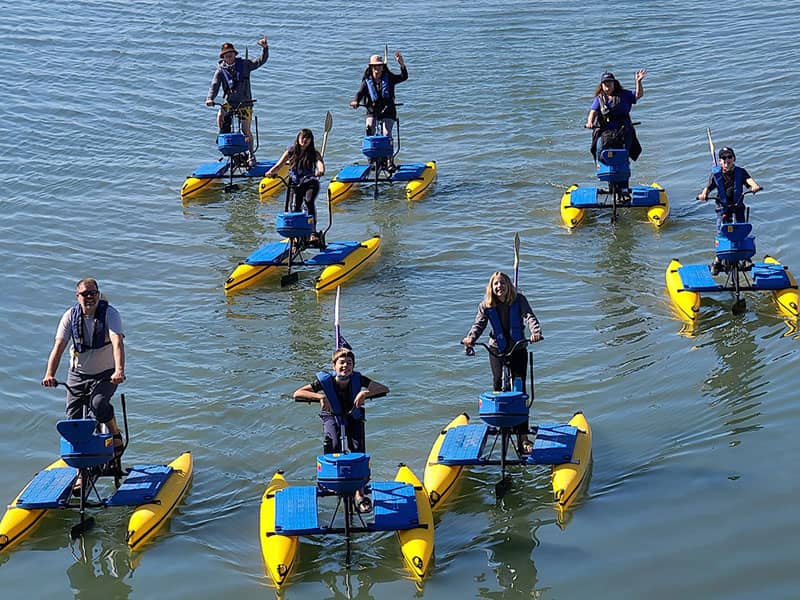 group of people paddle boarding in ocean