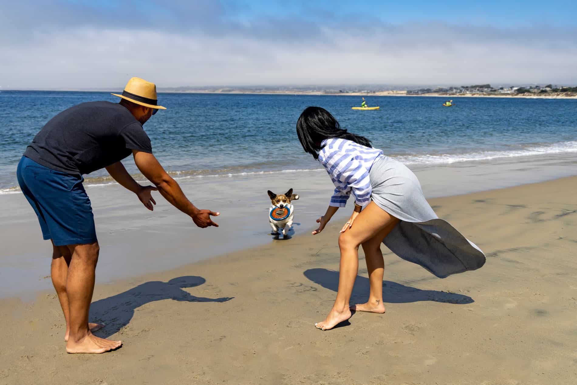 couple playing with dog on the beach