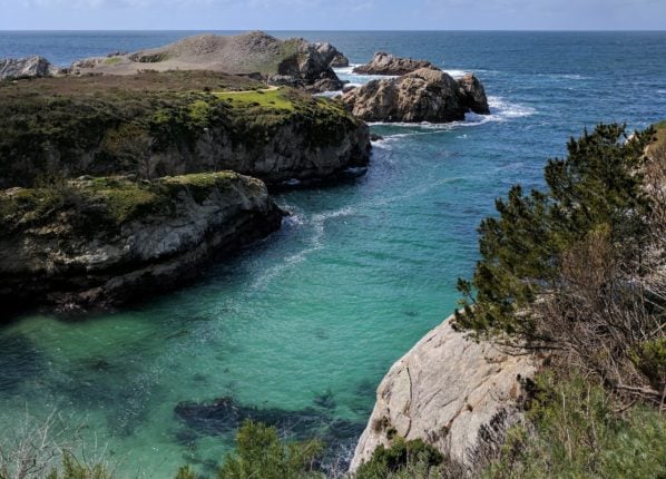Point Lobos view of the ocean