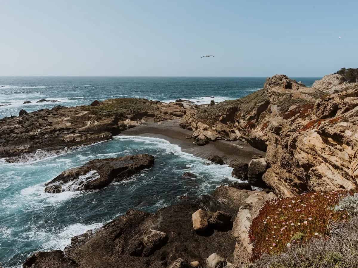  cliff and cove on the beach