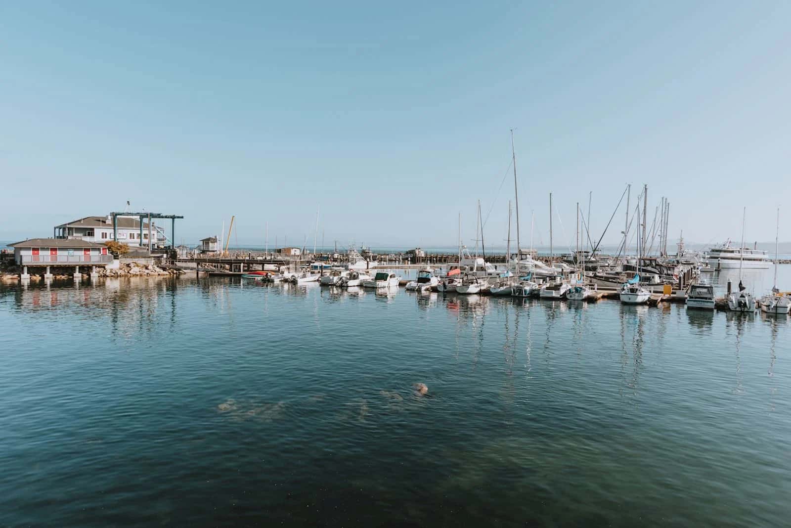 Monterey harbor view