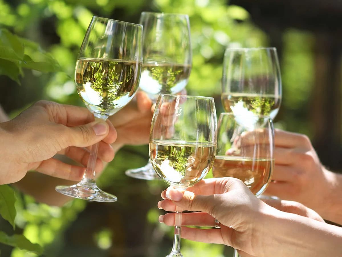 group cheers with white wine