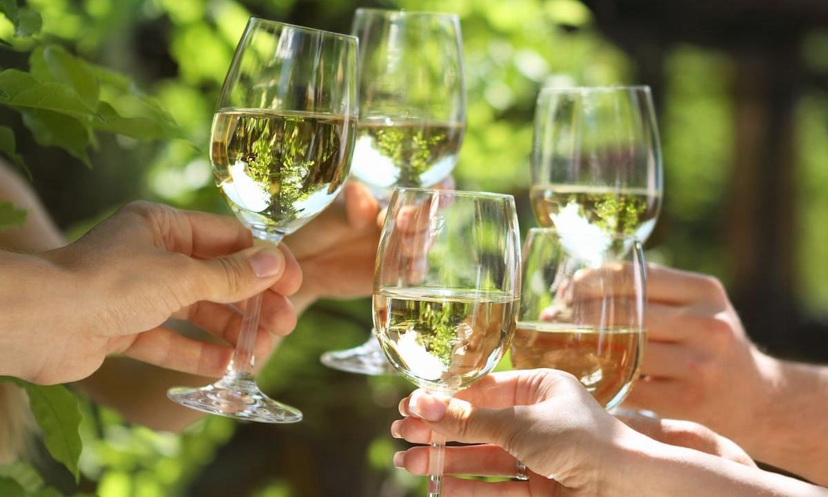 wine glasses cheers
