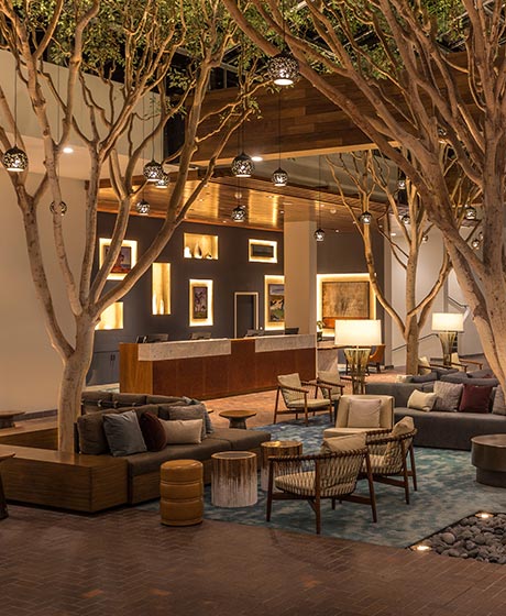 Outdoor lounge area at night with hanging lights in the trees