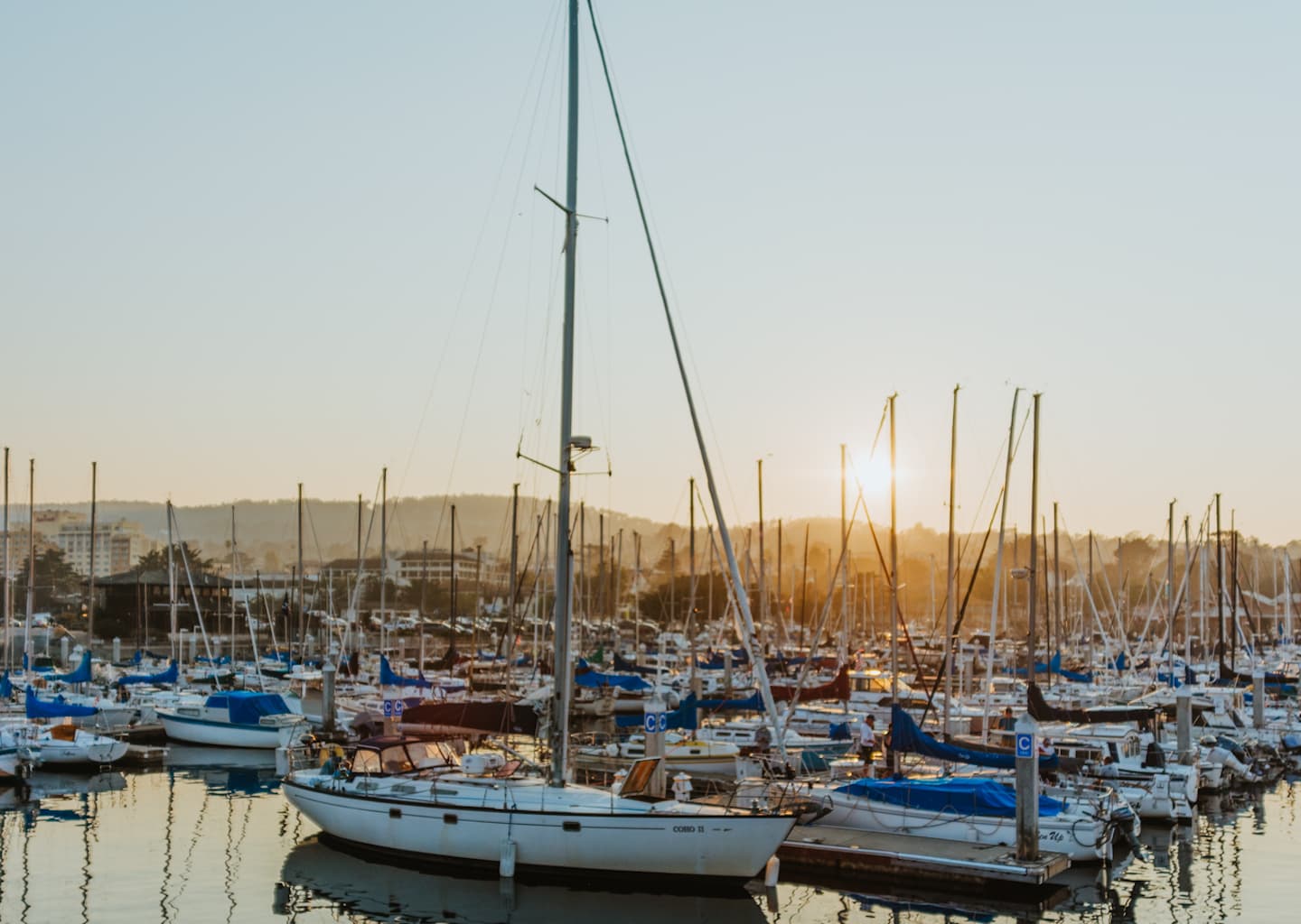 A lot of boats