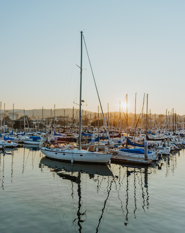 Boats in the Harbor