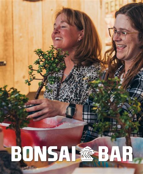 Bonsai Bar
