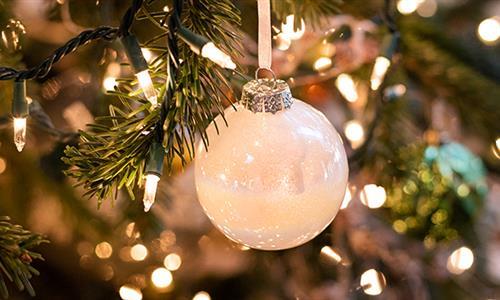 Holiday Tree Lighting on Cannery Row