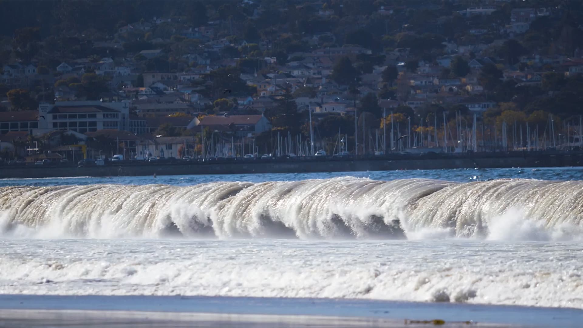 Experience Timeless Elegance at Portola Hotel & Spa, Monterey