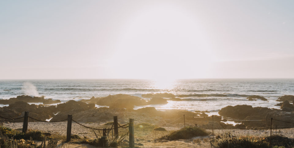 Sustainable Travel Tips For Your Next Vacation
