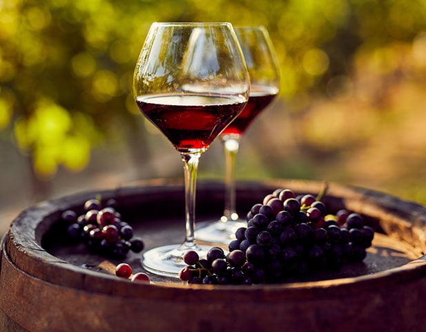 Wine vineyard near me hotsell