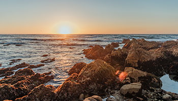 17 Mile Drive Pebble Beach