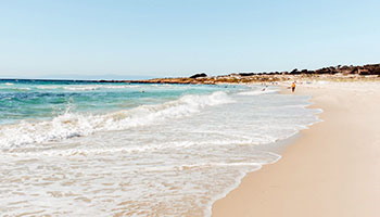 Monterey State Beach