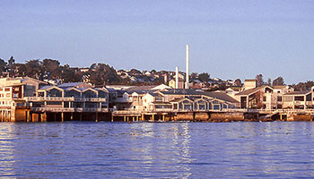 Monterey Bay Aquarium