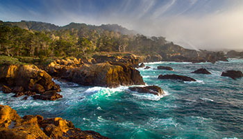 Point Lobos State Natural Reserve