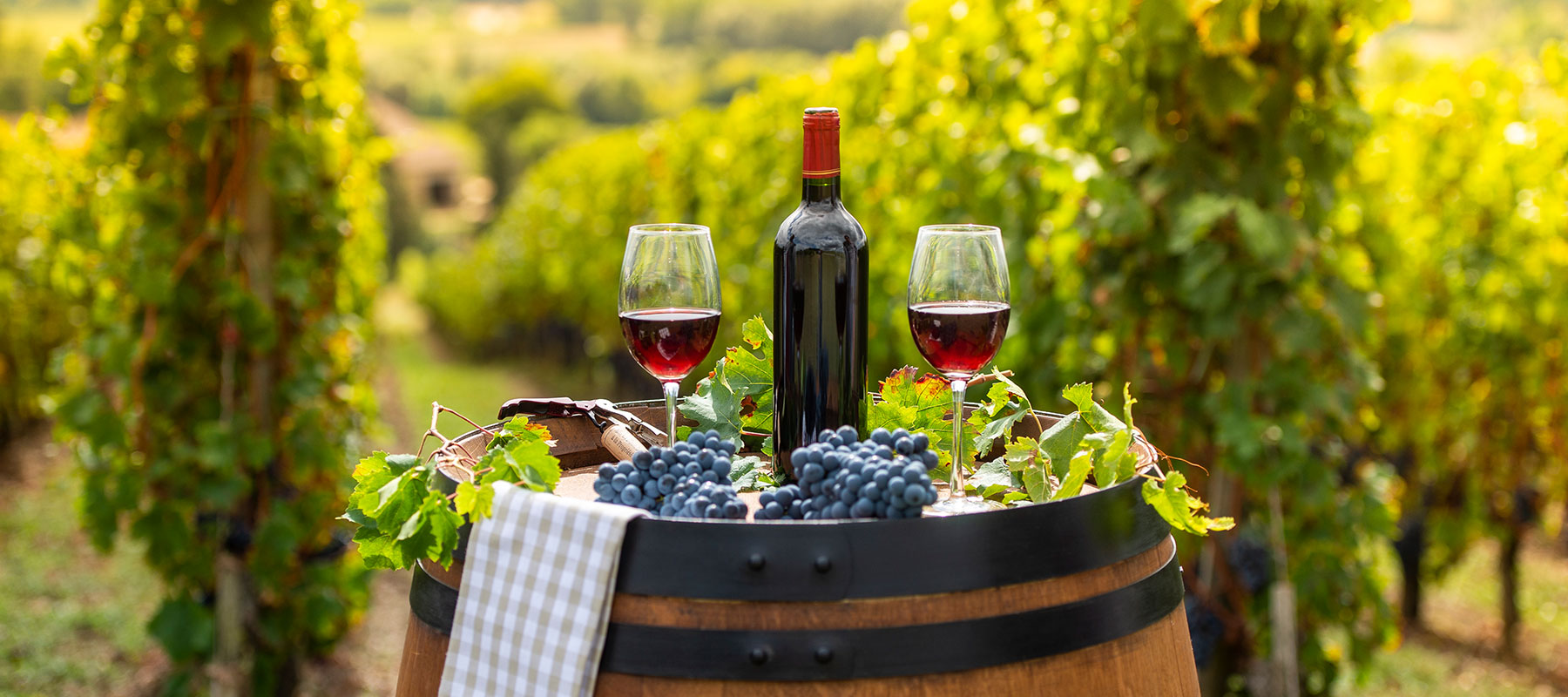 Wine Tasting at Portola Hotel, monterey california