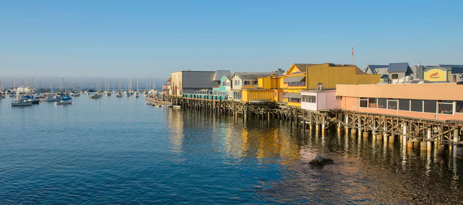 Pirate Program at Portola Hotel, monterey California