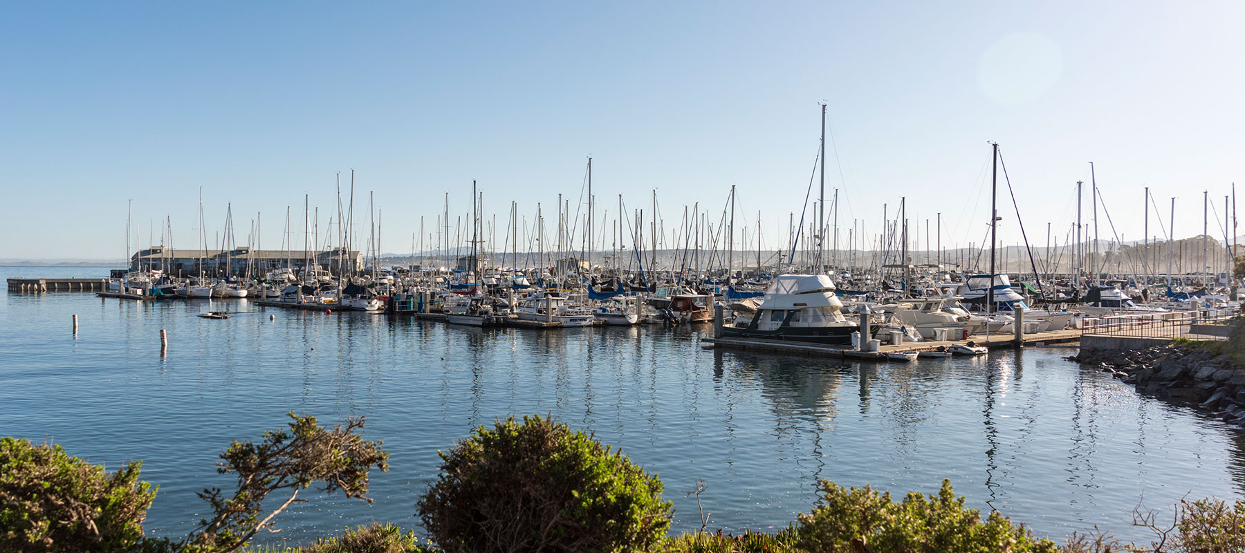 Top Attractions at Portola Hotel, monterey california